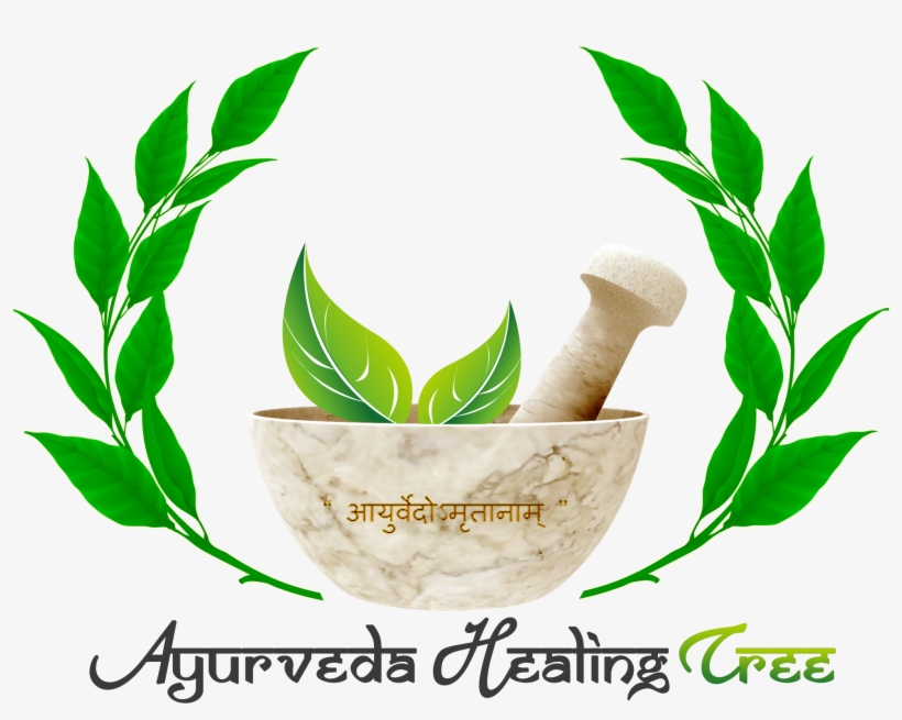 ayurveda healing tree ayurvedic medicine images hd free transparent png download pngkey ayurveda healing tree ayurvedic