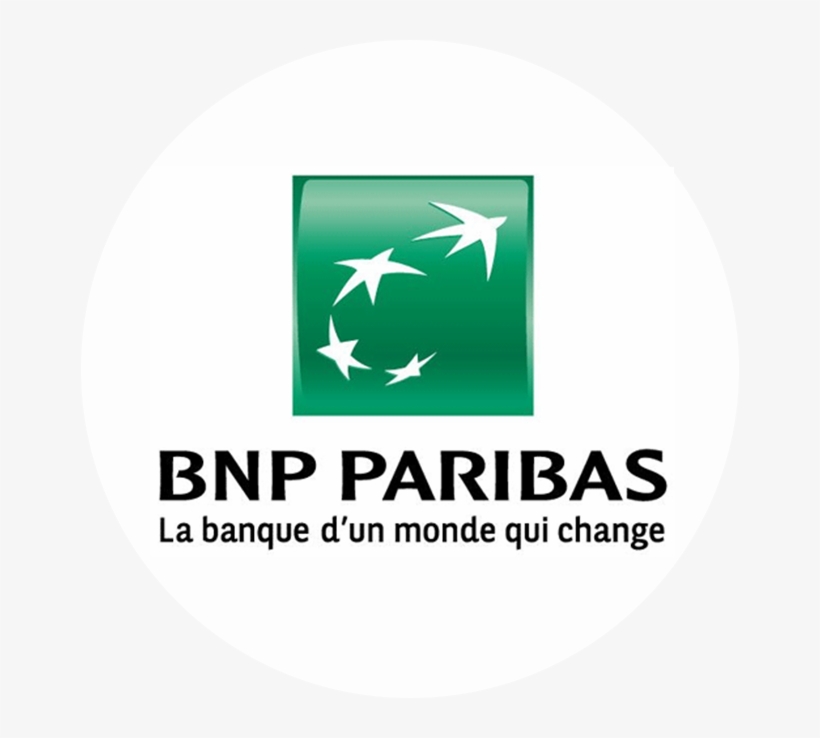 PIN'S BNP -Logo (B1) EUR 1,90 - PicClick FR
