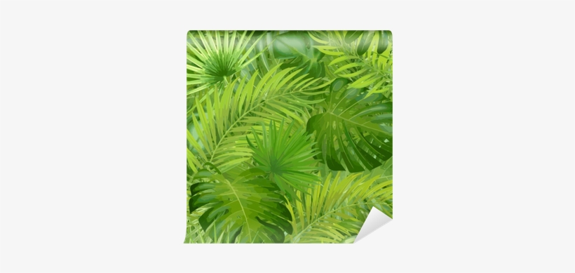 Tropical Palm Leaves, Jungle Leaf Seamless Vector Floral - Liście ...