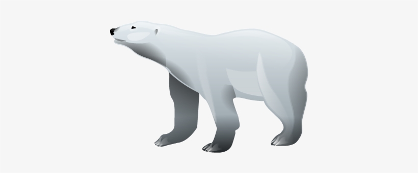 Polar Bear Png Hd Polar Bear Illustration Png Free Transparent Png Download Pngkey
