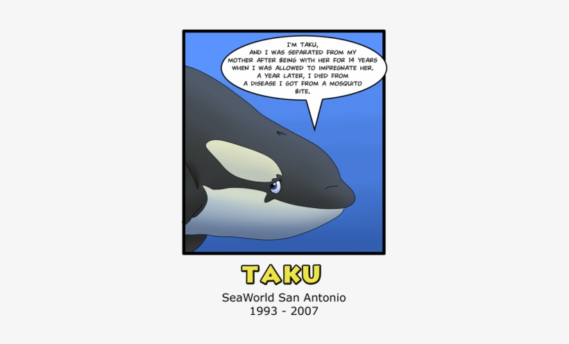 Orca Aware - Taku Orca - Free Transparent PNG Download - PNGkey