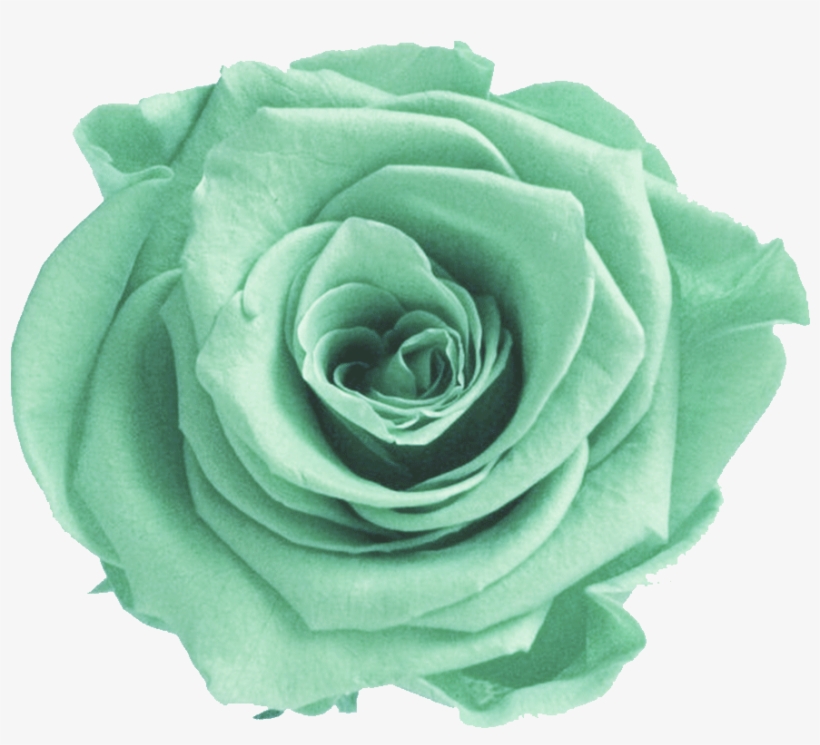 200+ Background Flower Mint Green - MyWeb