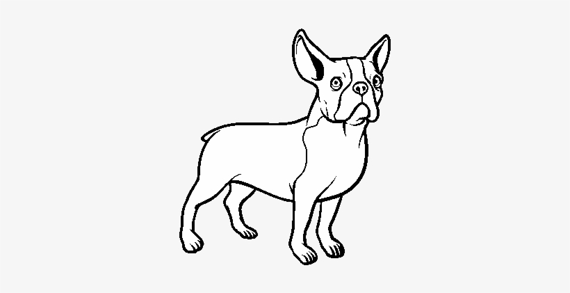 free coloring pages of bulldogs