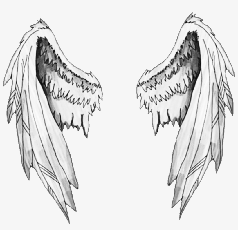 Angel Wings Drawing Tumblr Angel Wings Grievious On - Sticker For ...