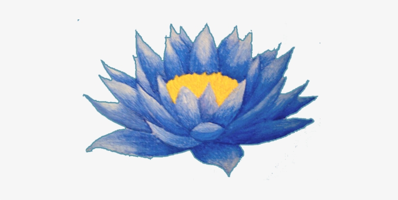 Lotus Flower Tattoos High Quality Photos And Flash Lotus Flower Blue Png Free Transparent Png Download Pngkey