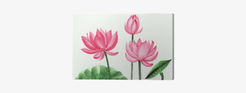 Watercolor Painting Of Pink Lotus Flower Canvas Print - Pink Lotus Water Color, transparent png #45360