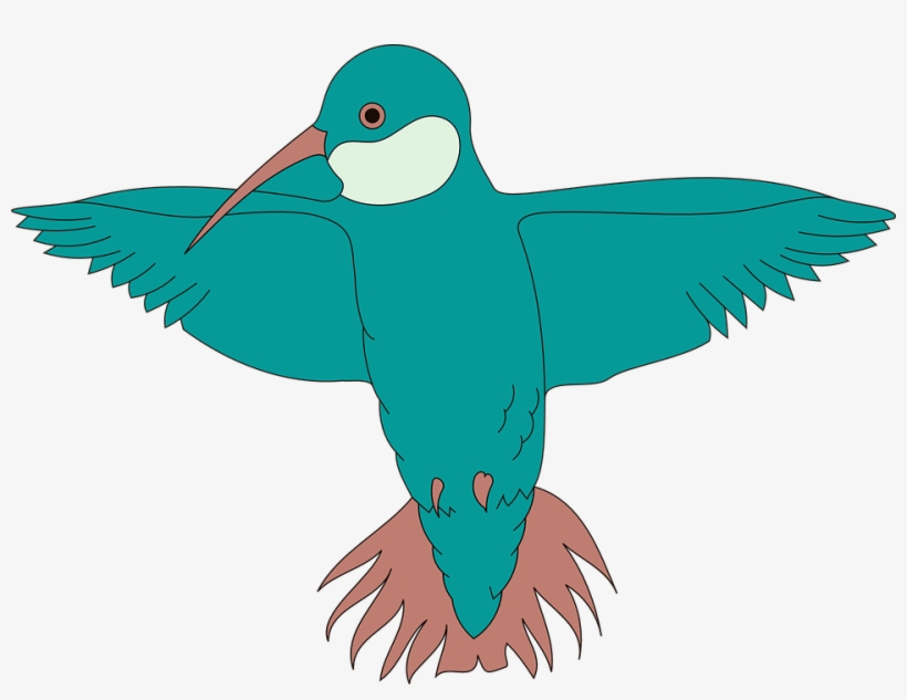 Free Free 242 Vector Hummingbird Svg Free SVG PNG EPS DXF File
