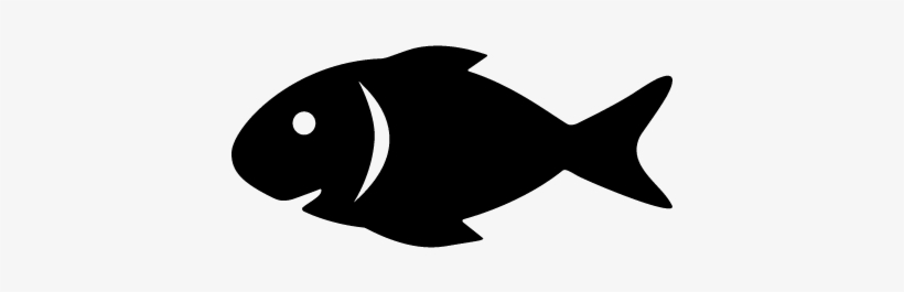 Download Raw Fish Vector Fish Svg Free Free Transparent Png Download Pngkey