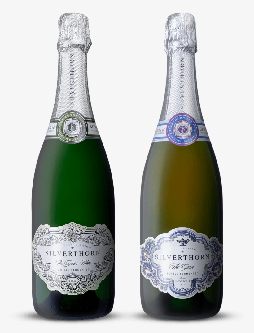 Silverthorn Mcc - Free Transparent PNG Download - PNGkey