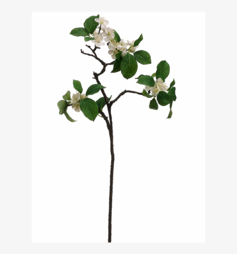 26" Apple Blossom Spray White - Silk Plants Direct Apple Blossom Spray - White - Pack, transparent png #4033538