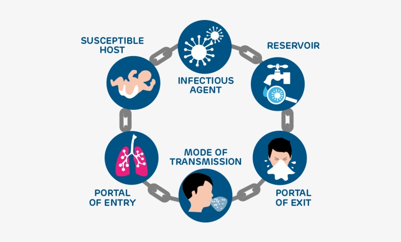 Chain Of Infection Stages