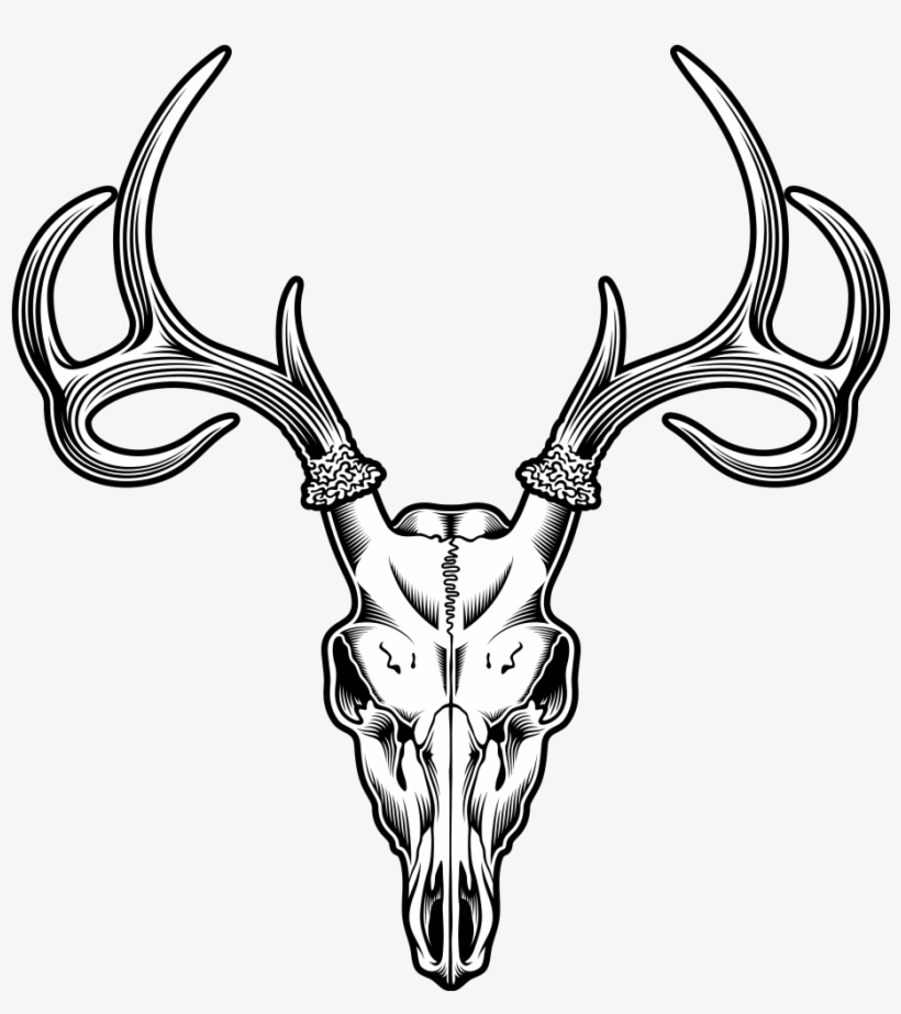 Featured image of post Wolf Skull With Horns Drawing