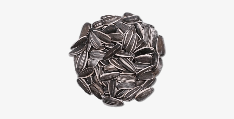 Food - Seeds - Sunflower Seed, transparent png #4136959