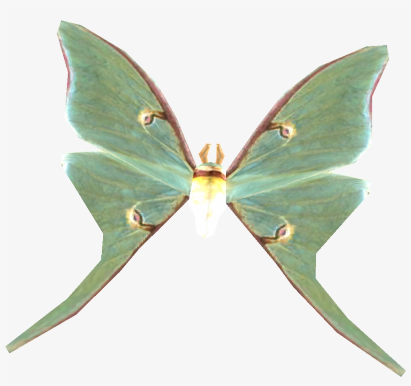 Skyrim Luna Moth Wing - Free Transparent PNG Download - PNGkey