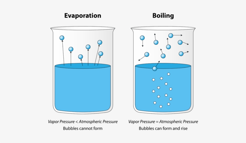 Illustration Showing The Difference Between Evaporation - Evaporation ...