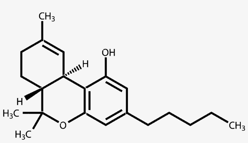 Chemical Makeup Of Thc - Mugeek Vidalondon