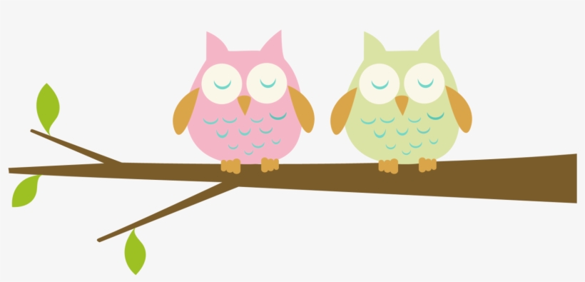 ovo owl png clipart