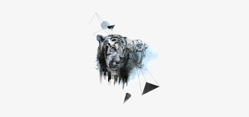 Tiger Roar - Illustration - Free Transparent PNG Download - PNGkey