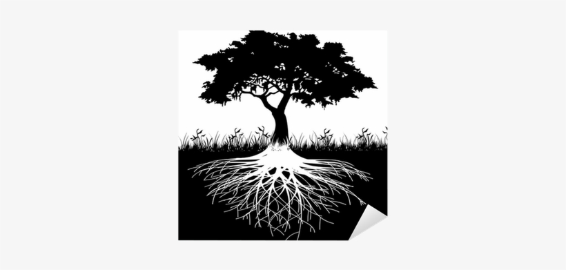 tree roots silhouette png
