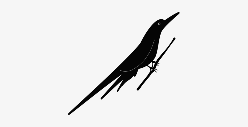 American Crow Beak Bird Passerine Common Raven - Vector Graphics, transparent png #4324255