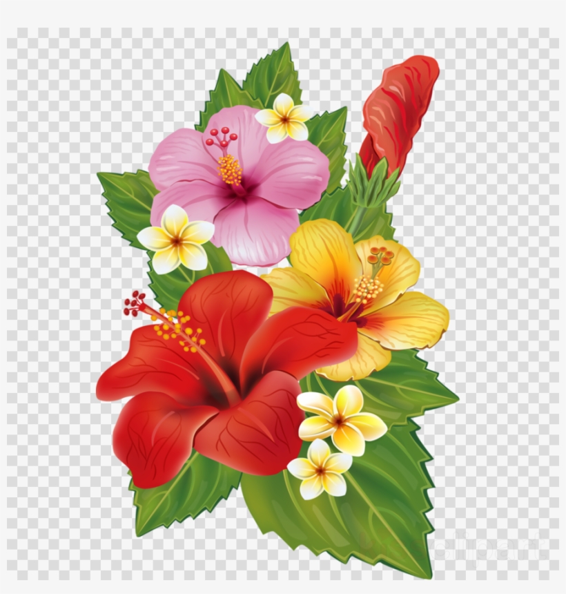 Download Tropical Flowers Border Png Clipart Clip Art Clipart Of Flowers Free Transparent