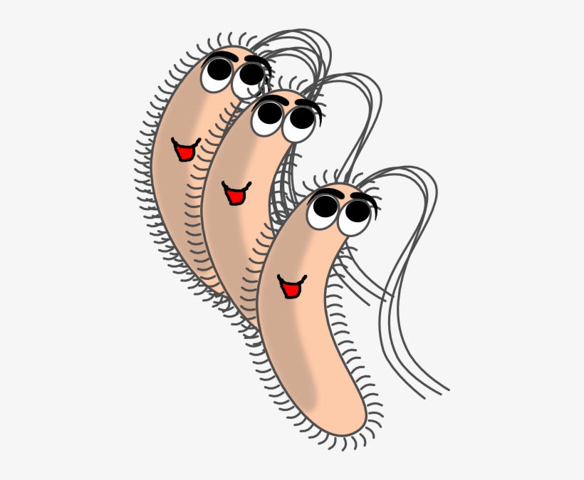 Small - Funny Bacteria Clipart - Free Transparent PNG Download - PNGkey