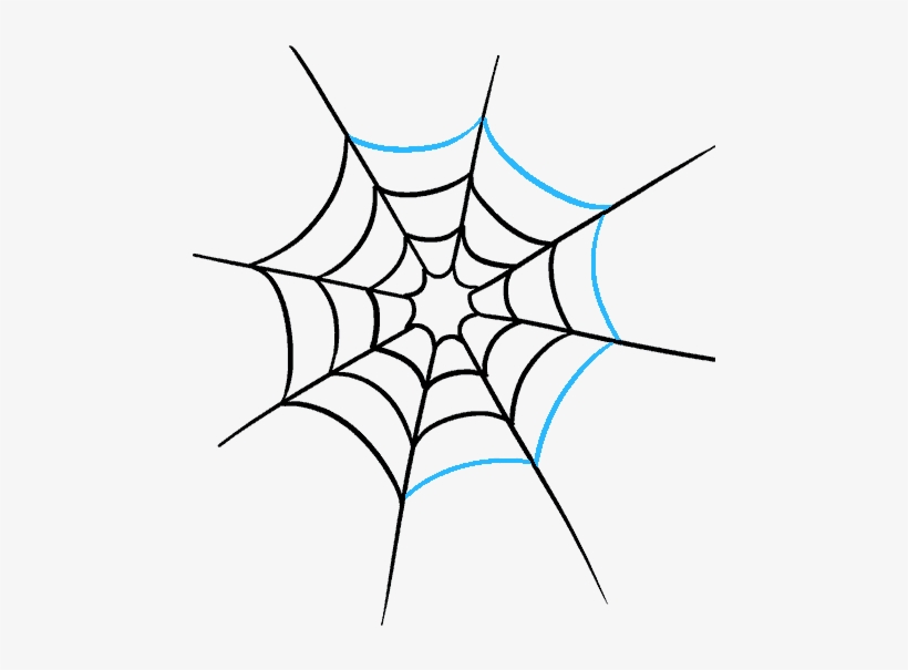 How To Draw Spider Web With Spider - Spider Web Drawing, transparent png #4403061