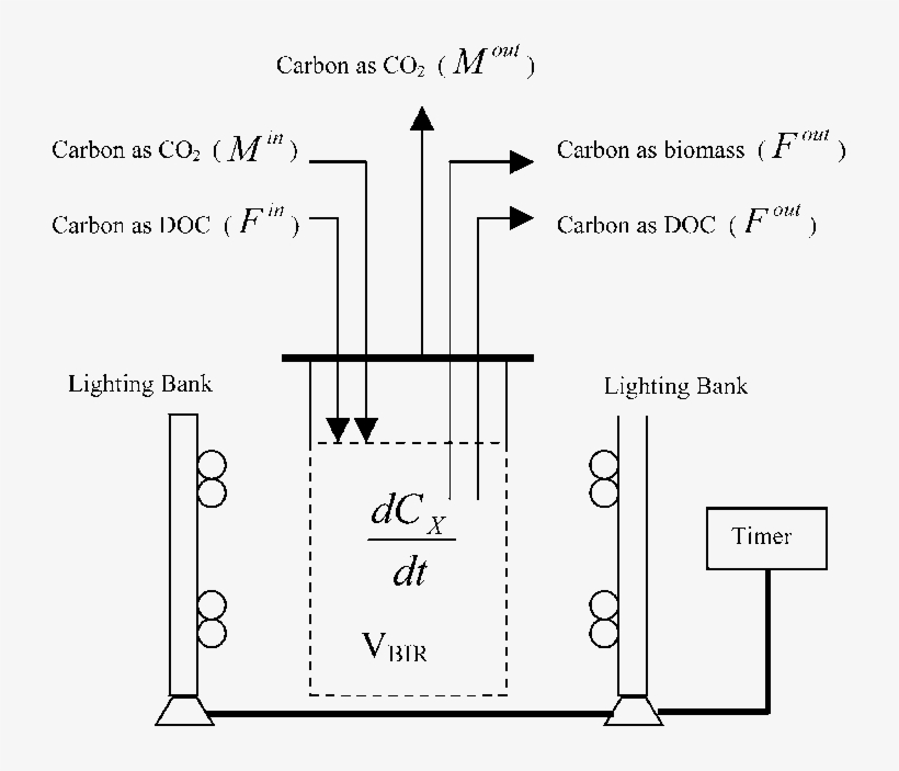 Experimental Setup For Continuous Cultivation Of Marine - Diagram ...