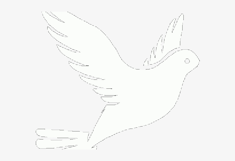 White Dove Clipart Faith - Dove Drawing - Free Transparent PNG Download ...