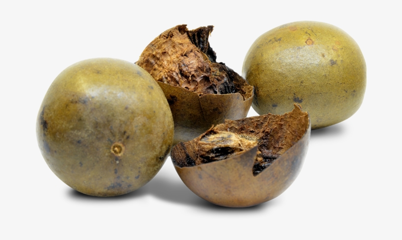 Monk Fruit - Luo Han Guo - Free Transparent PNG Download - PNGkey