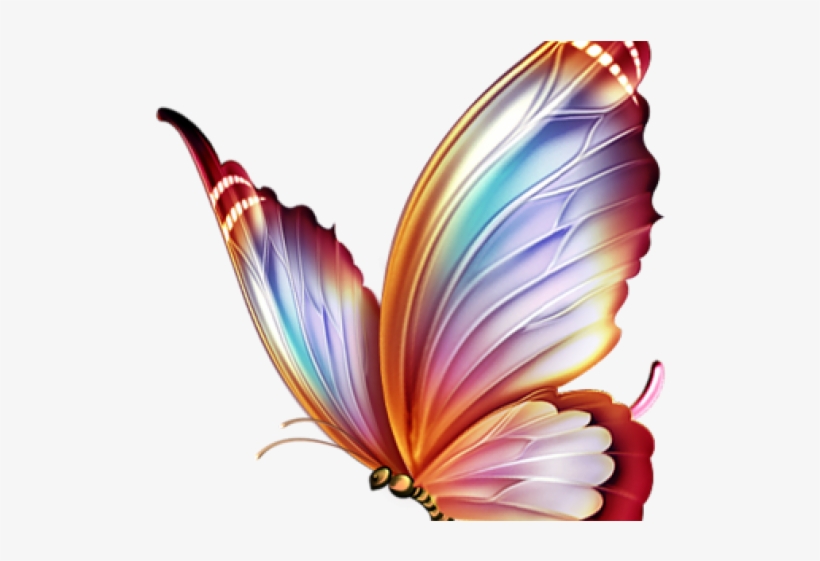 3D Temporary Tattoo Color Feathers Design Size 10.5x6CM - 1PC. : Amazon.in:  Beauty