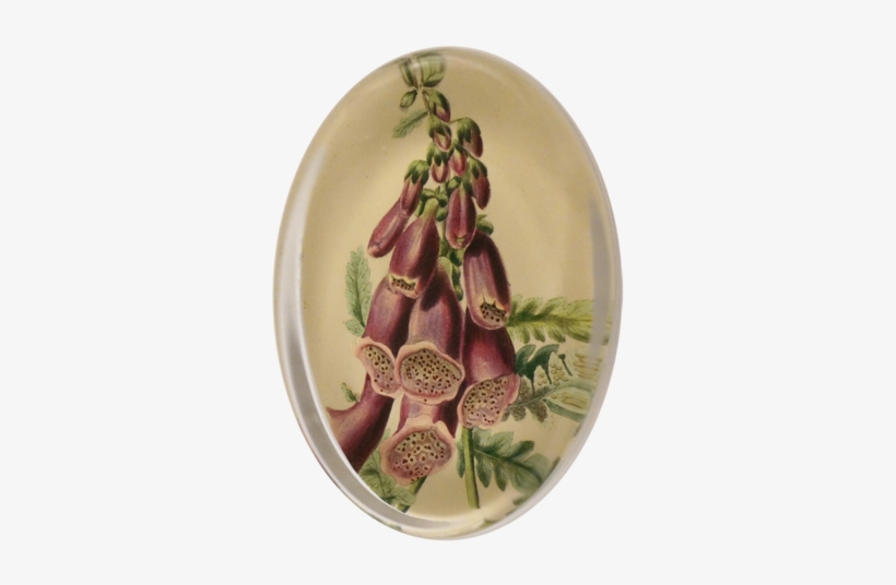 Foxglove & Ferns Foxglove & Ferns - Ceramic, transparent png #484829