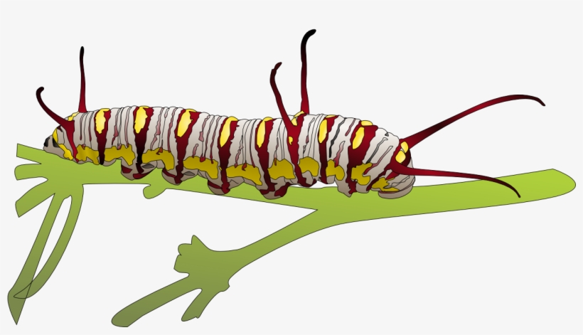 Caterpillar Free Png Image - Higad Clipart - Free Transparent PNG ...