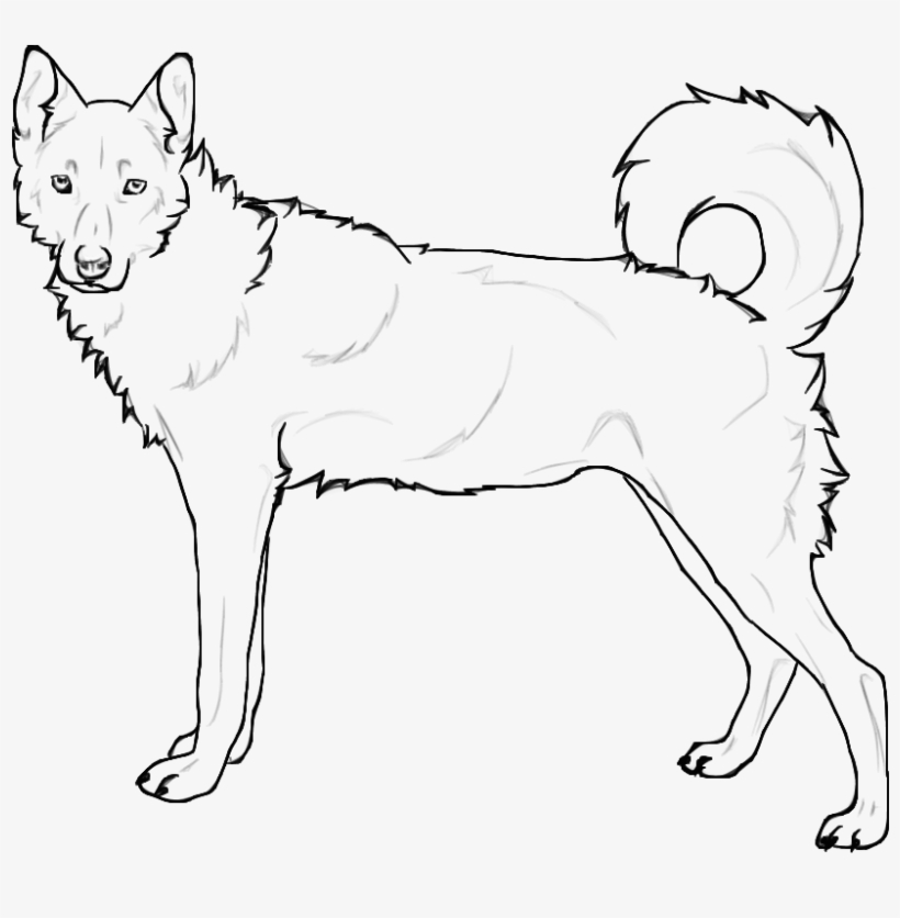 Coloring Pages Of Husky Dogs - Siberian Husky Huskies Coloring Pages
