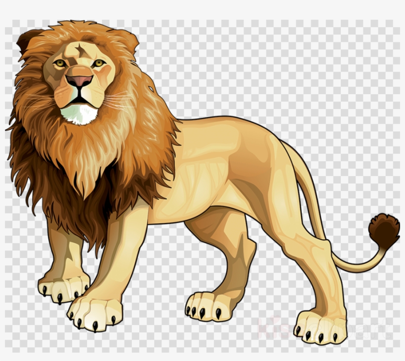 Vector Lion Clipart Lion Clip Art - Lion Picture With Name ...