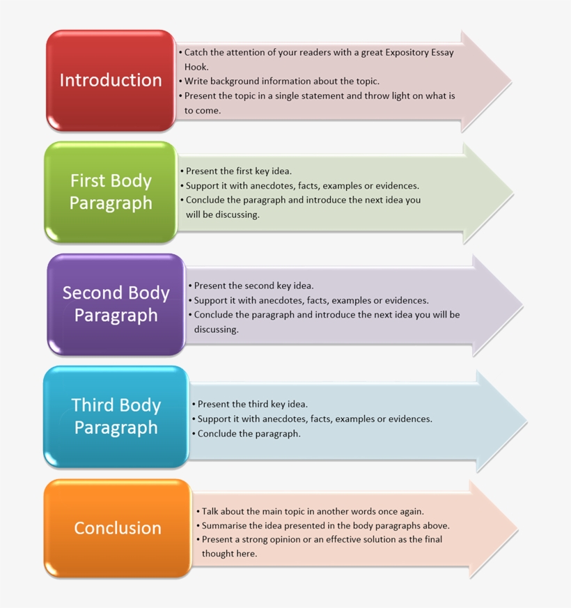 Expository Essay - Free Transparent PNG Download - PNGkey