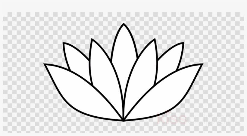 Lotus Flower Line Drawing Images  Browse 54101 Stock Photos Vectors and  Video  Adobe Stock