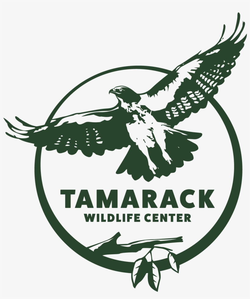 Tamarack Wildlife Center - Wildlife Rehabilitation Logo, transparent png #4994670