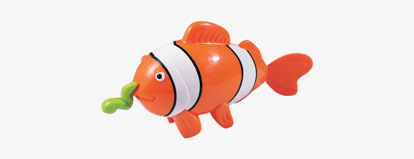 Swimming Clown Fish - Tigex Swimming Clown Fish And 10 Months, transparent png #517895