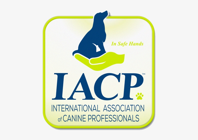 Iacp Logo Member Icon Rgb Free Transparent PNG Download PNGkey