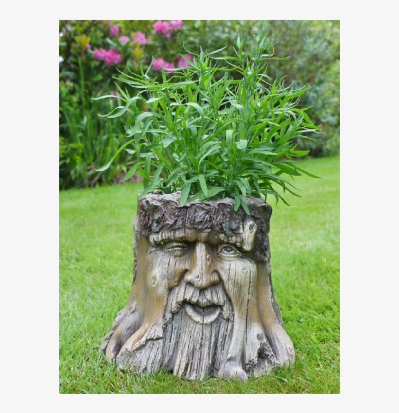 Novelty Tree Stump Garden Planter Wood Carved Face, transparent png #520424