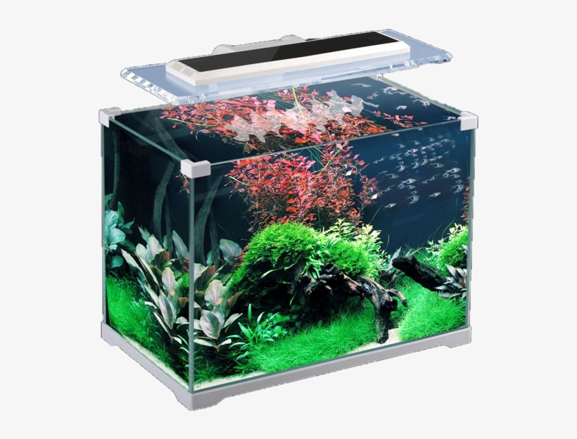 Aquarium Png - Sunsun Atk 350 - Free Transparent PNG Download - PNGkey