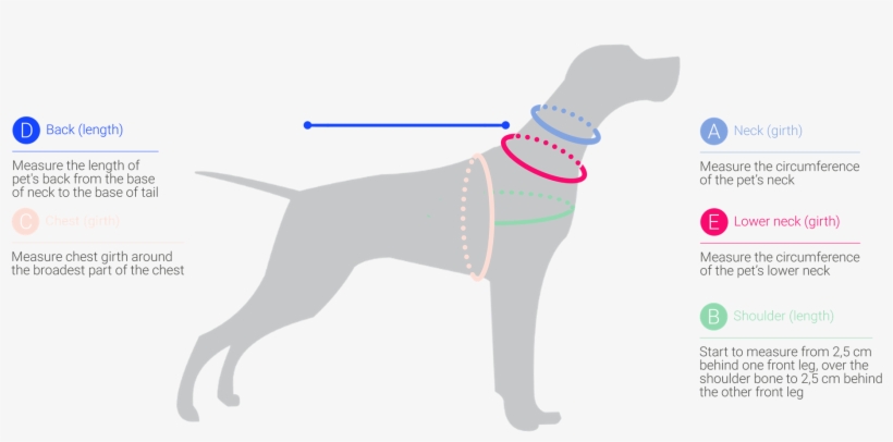 How To Measure Your Dogs Chest Girth Neck Back Neck Free Transparent Png Download Pngkey