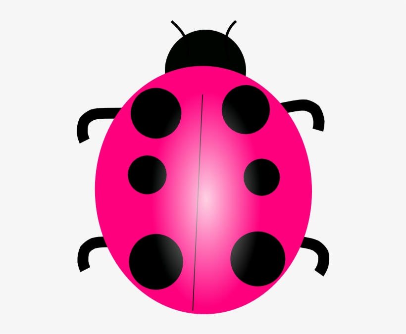 Ladybug Png Alta Resolução - Ladybug Rosa, Transparent Png - 800x768  (#153095) - PinPng