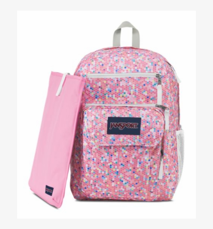 jansport computer case