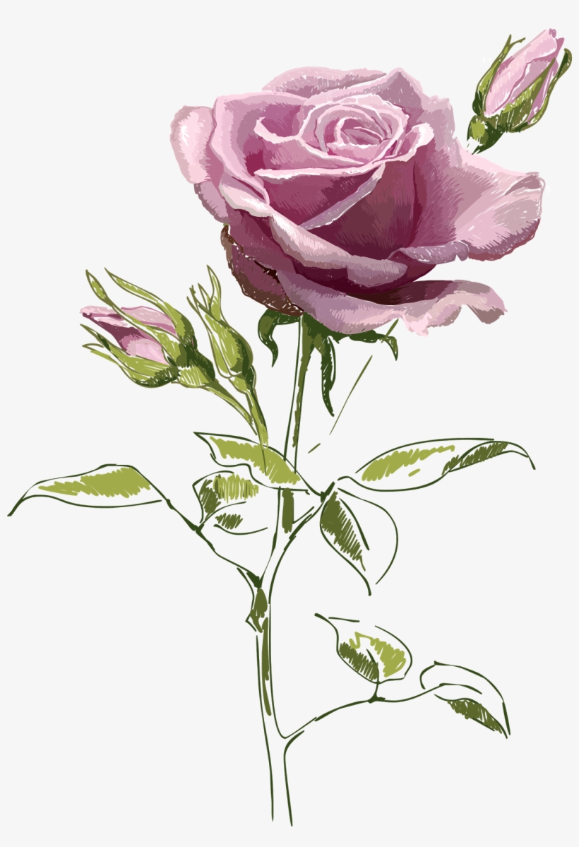 Flores Y Mariposas Encontradas En La Web - Vintage Rose Postcard - Free  Transparent PNG Download - PNGkey