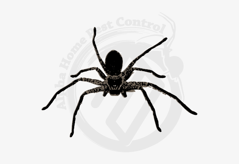 huntsman clipart