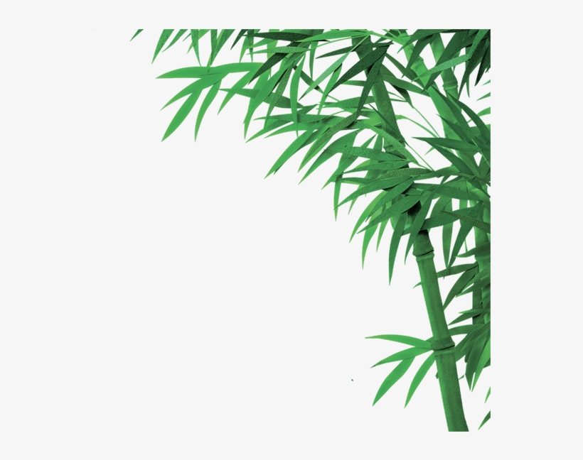 Bamboo Png Download Png Image With Transparent Background 竹子 水墨 背景 Free Transparent Png Download Pngkey