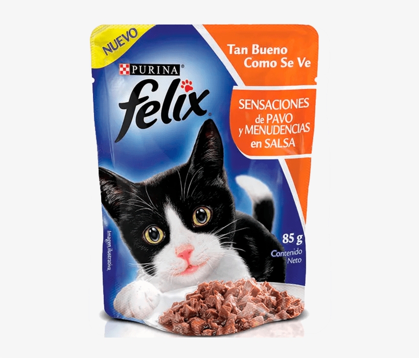 purina felix kitten food