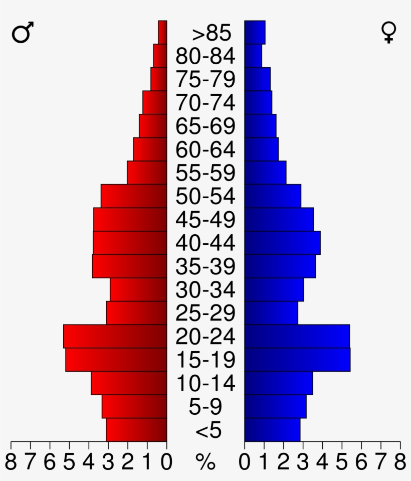 Open Boulder County Population Pyramid Free Transparent PNG